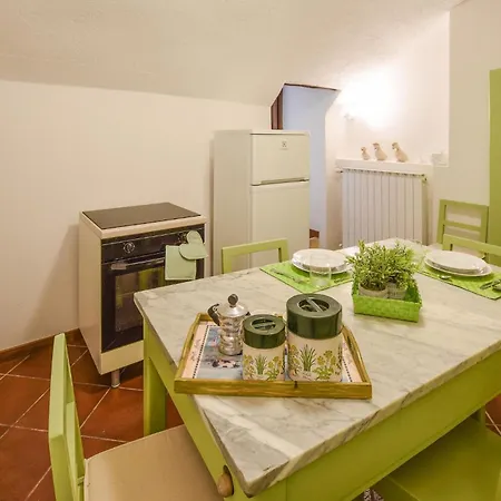 Pet Friendly In Appartement *