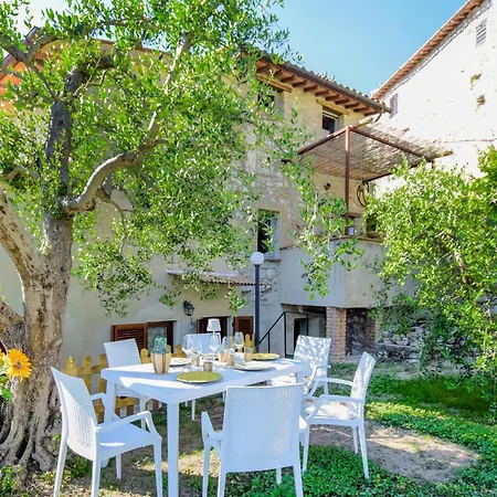 Pet Friendly In Апартаменты