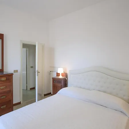 Pet Friendly In Apartment *