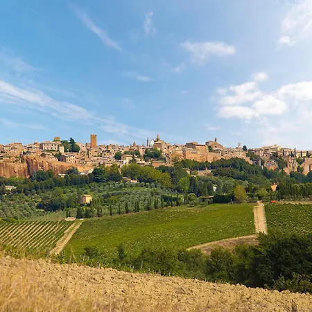 Pet Friendly In Apartamento Portaria